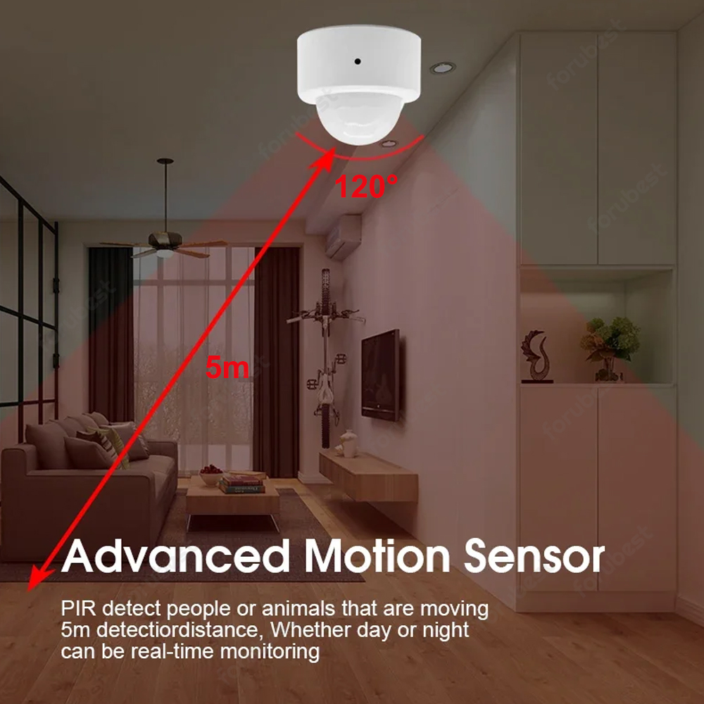 Zigbee 3.0 Human Motion Sensor - Home Security Alarm 评论和价格