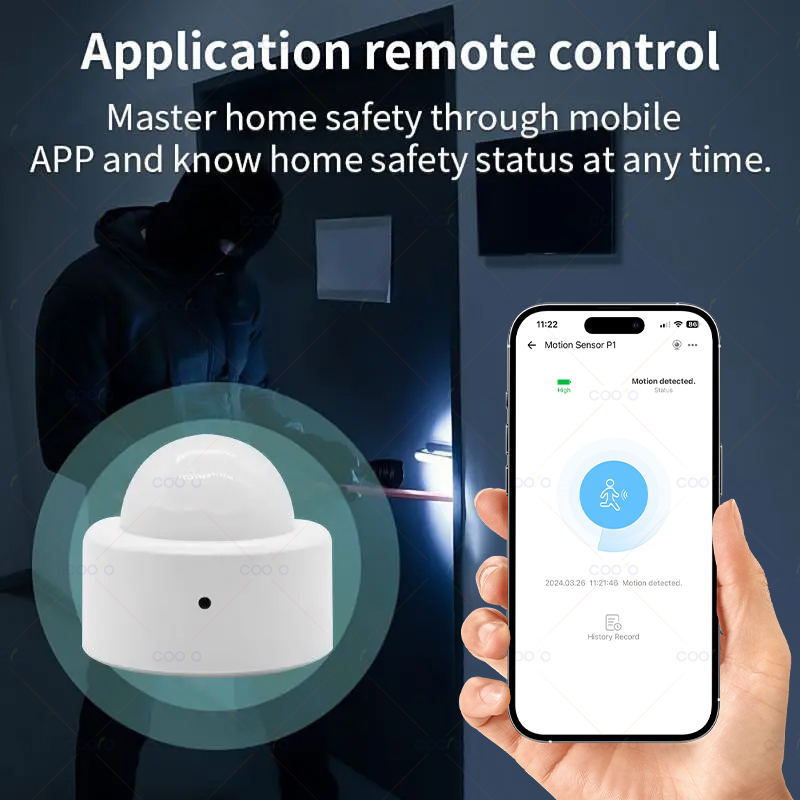Zigbee Mini PIR Motion Sensor  - Home Security Alarm 评论和价格
